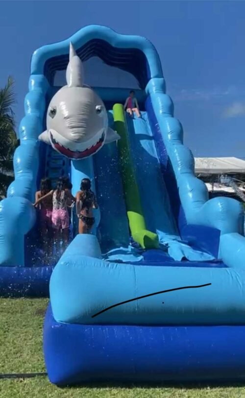 Big Shark - Imagem 5