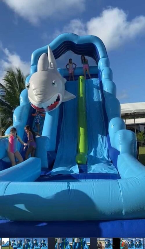 Big Shark