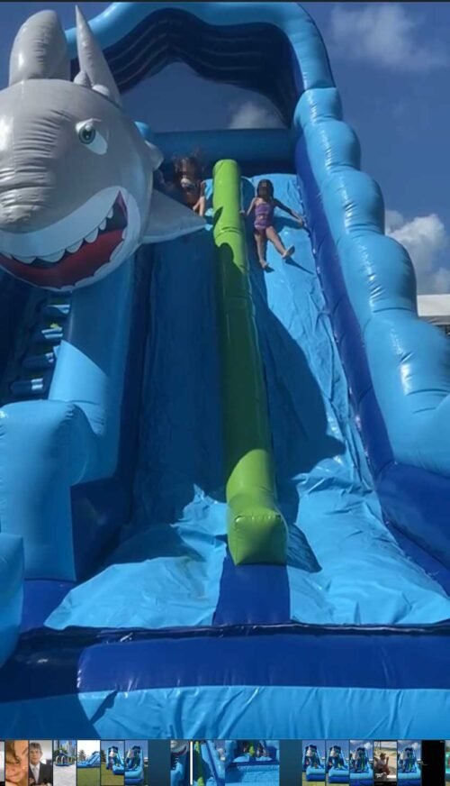 Big Shark - Imagem 3
