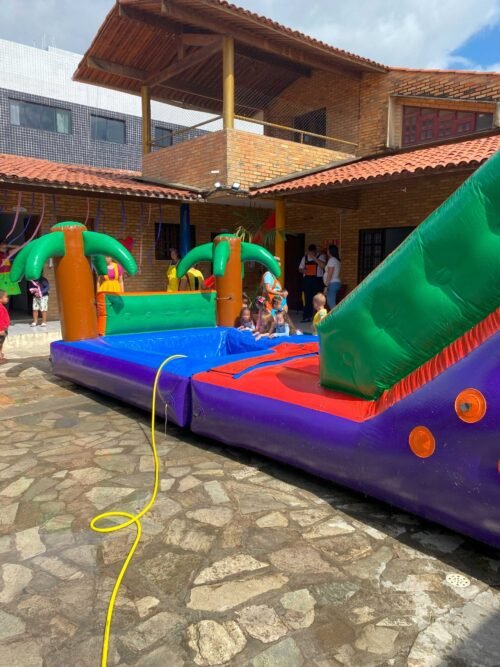 Coqueiro - Imagem 6