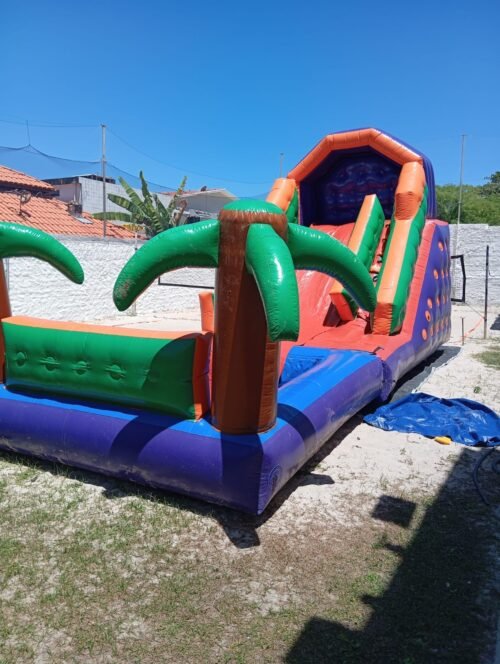 Coqueiro - Imagem 20