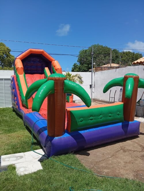 Coqueiro - Imagem 19
