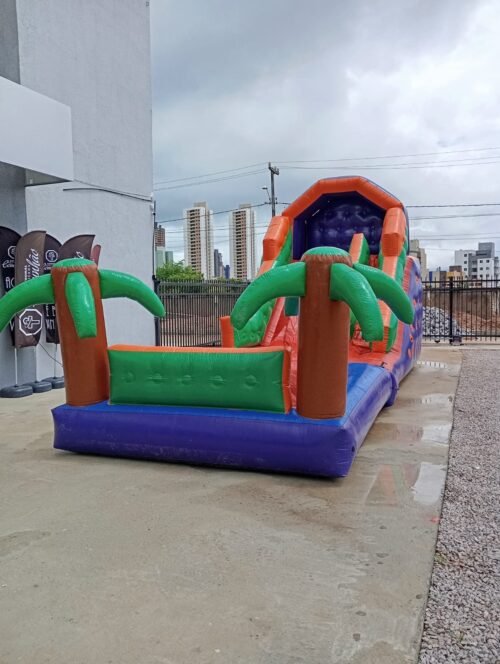 Coqueiro - Imagem 17