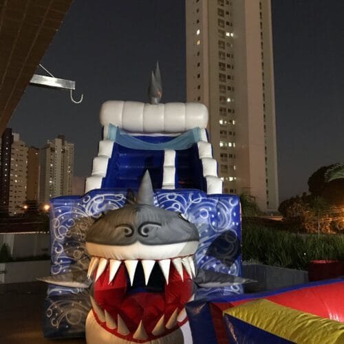 Tubarão - Imagem 18