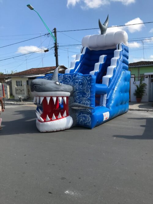 Tubarão - Imagem 9