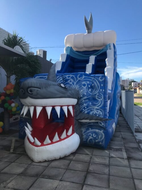 Tubarão - Imagem 5