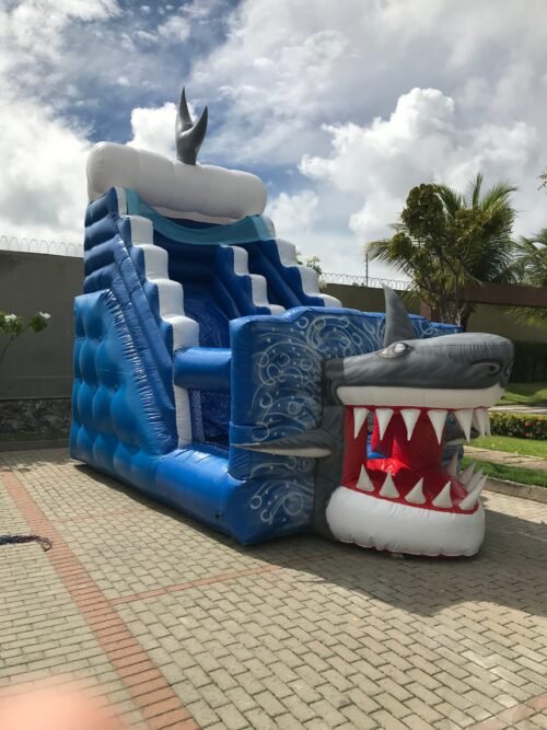 Tubarão - Imagem 25