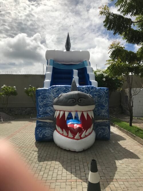 Tubarão - Imagem 23