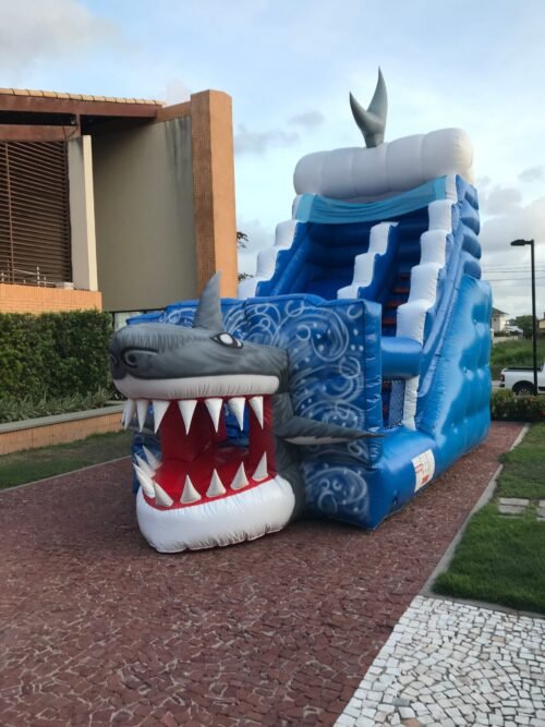 Tubarão - Imagem 21