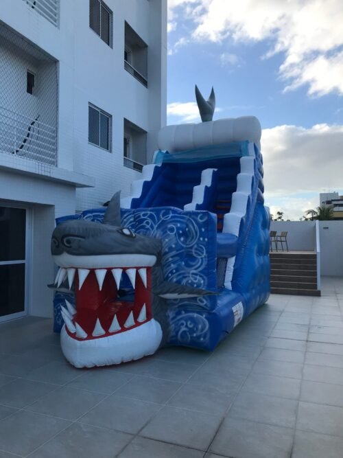 Tubarão - Imagem 19