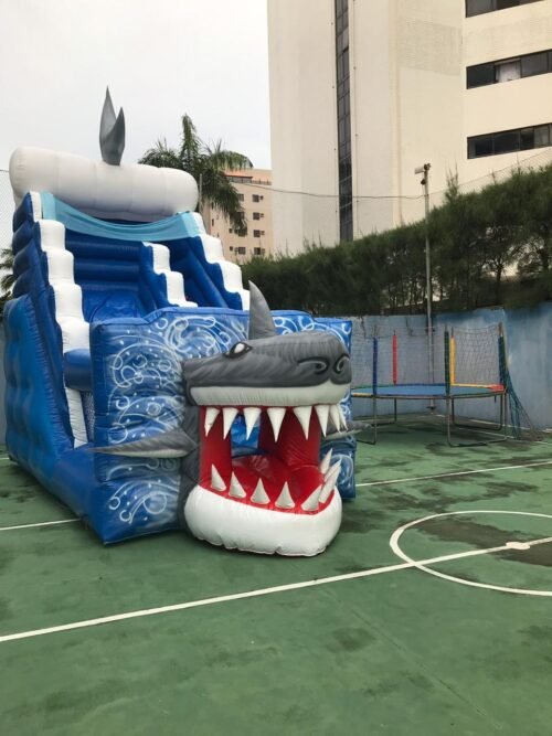Tubarão - Imagem 15