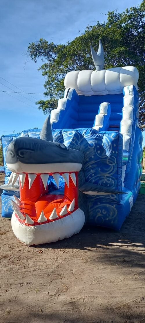 Tubarão - Imagem 12