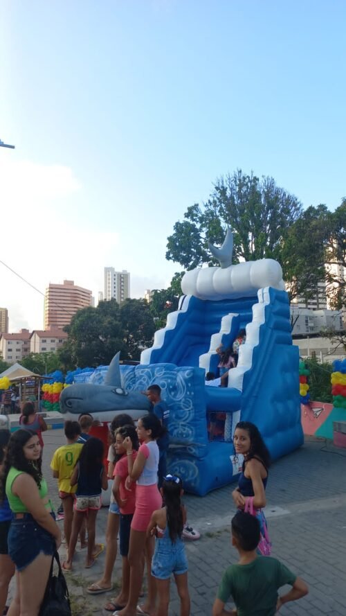 Tubarão - Imagem 11