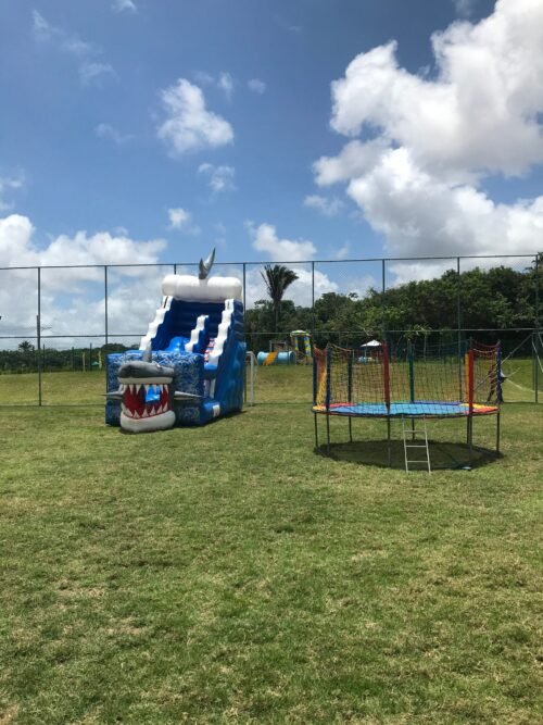 Tubarão - Imagem 10