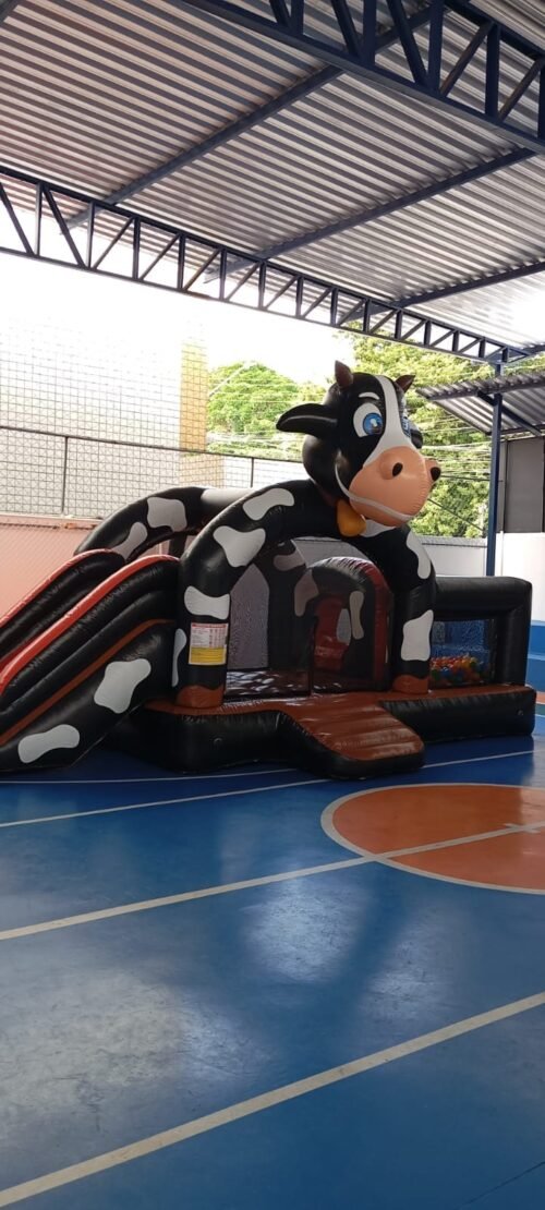 Vaquinha 3 em 1 - Imagem 2