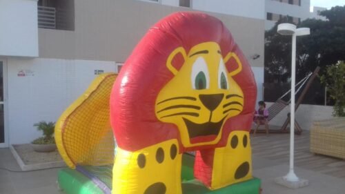 Piscina de Bolas Leão