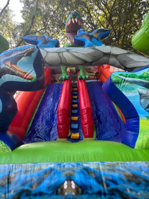 Tobogã Dinossauro - Imagem 9